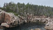 PICTURES/Cabot Trail - Coves, Forests, Trails and Falls/t_Jack Pine2.jpg